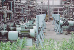 p104-3.bmp (128166 �ֽ�)