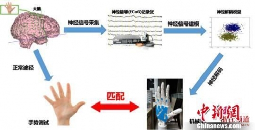 我国科学家成功完成人脑意念控制实验