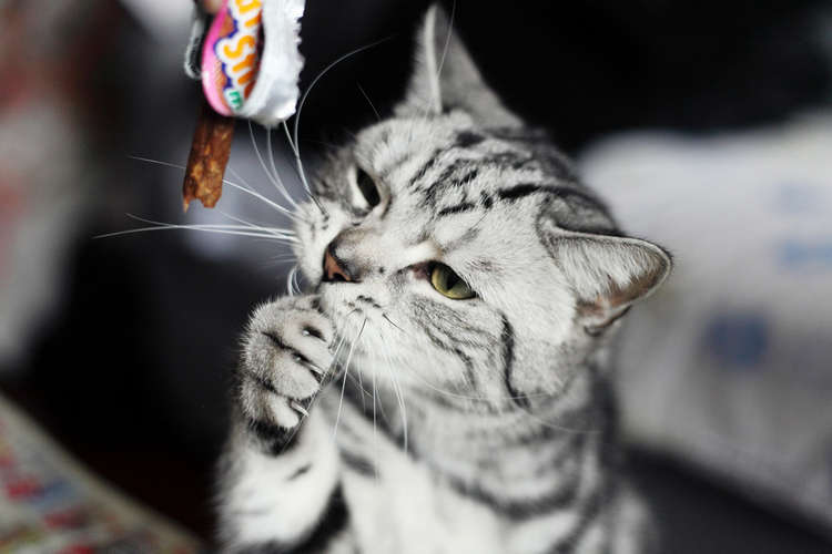 农行原副行长杨琨违纪被双开 或亦涉大连实德