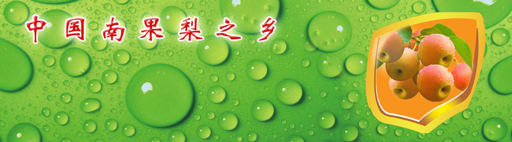 辽宁建