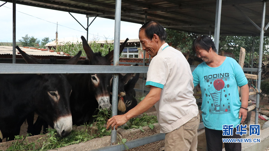 葫芦岛市建昌县:狠抓产业扶贫模式 助百姓脱贫